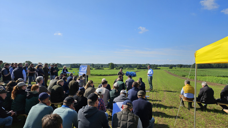 Leguminosen gehört die Zukunft!